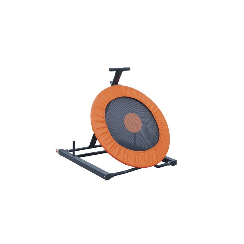 Medicine ball rebounder