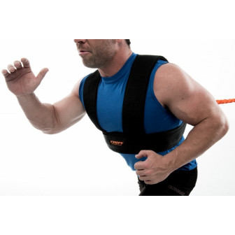 Shoulder H Harness