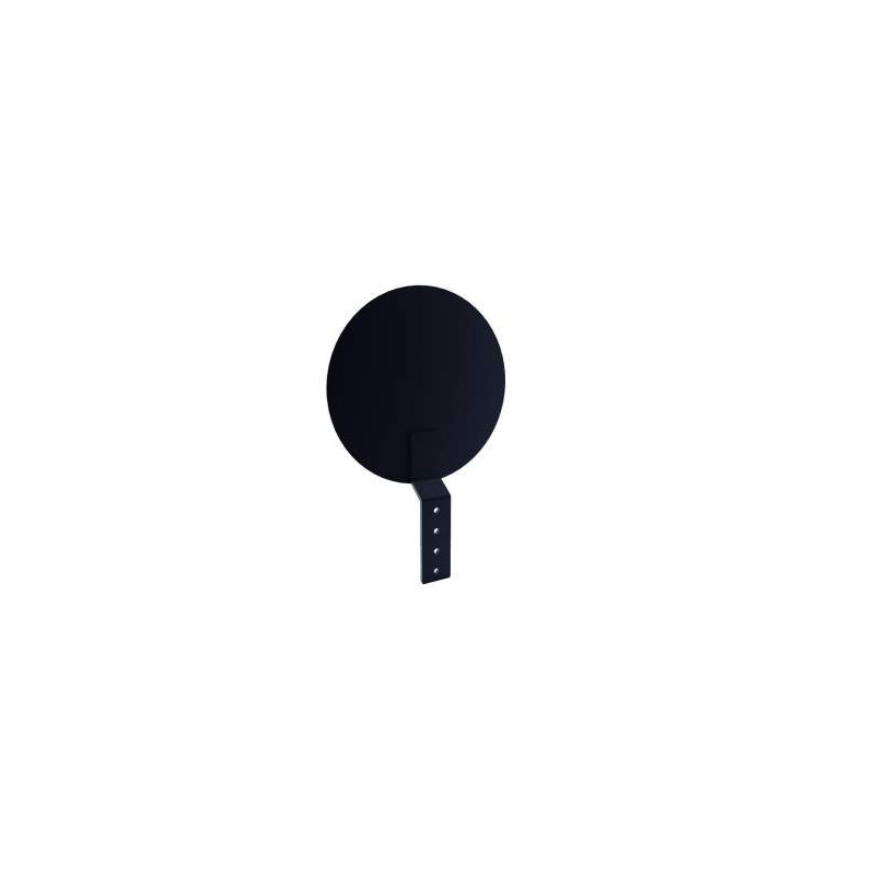 WALL BALL TARGET COLUMNA