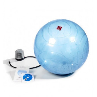 Fitball Ballast by Bosu