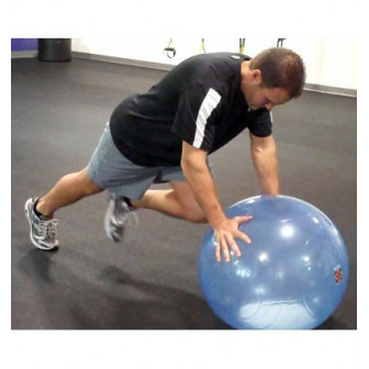 Fitball Ballast by Bosu