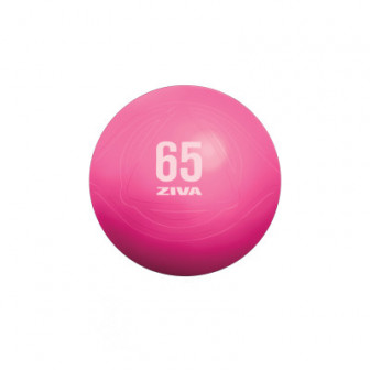 copy of Fitball Reebok