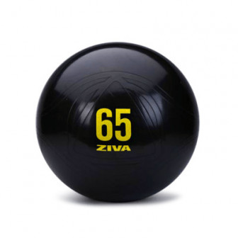 Fitball classic. Ziva.