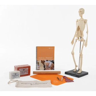 KIT ESQUELETO ANATOMY +...